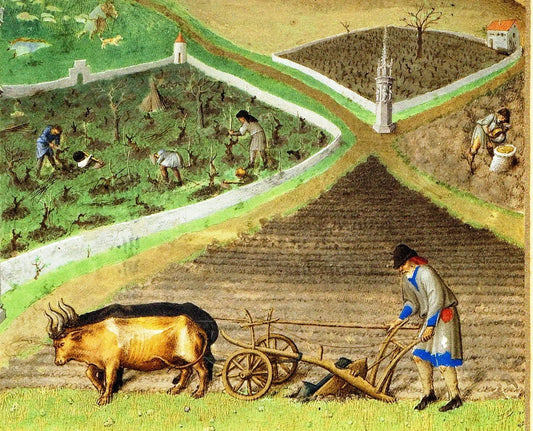 Sangiovese e Santarcangelo: tra tradizione e fonti storiche