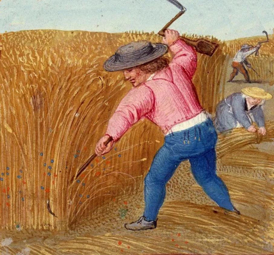 Salari e prezzo del grano nel Medioevo