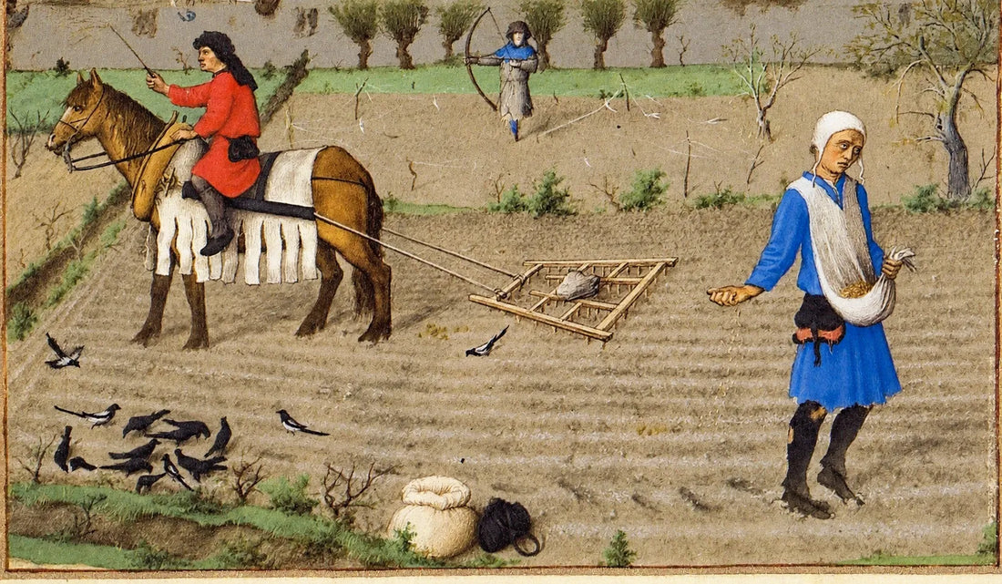 Il grano e la vite a Rimini nel Medioevo di Oreste Delucca