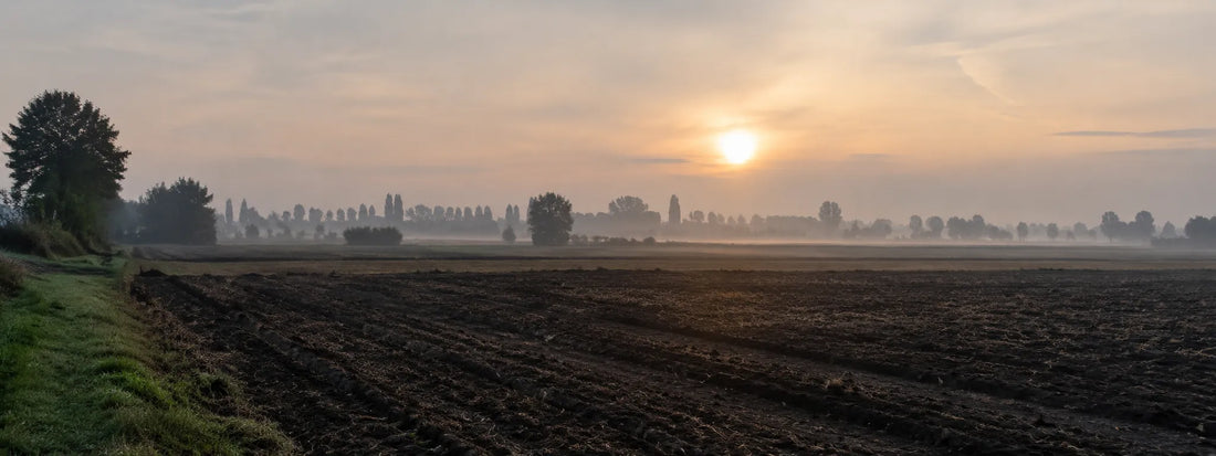 Paesaggio rurale della Bassa reggiana, contesto del percorso sulla Resistenza a Campagnola Emilia