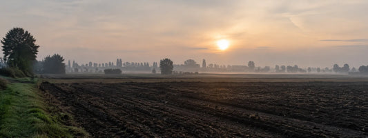 Paesaggio rurale della Bassa reggiana, contesto del percorso sulla Resistenza a Campagnola Emilia