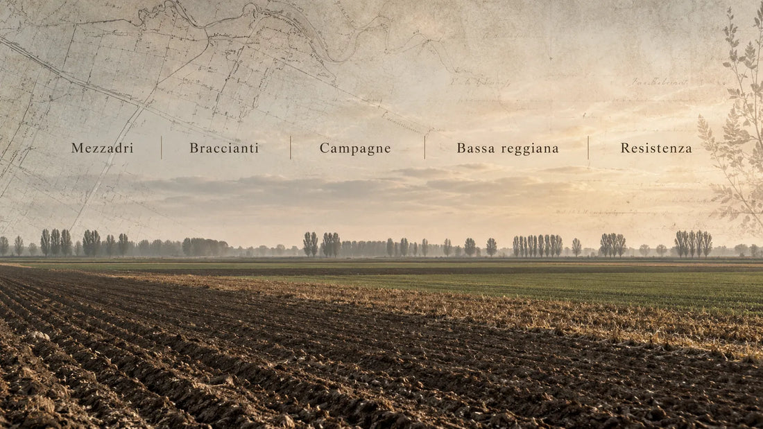 Campi della Bassa reggiana, contesto rurale della Resistenza di mezzadri e braccianti