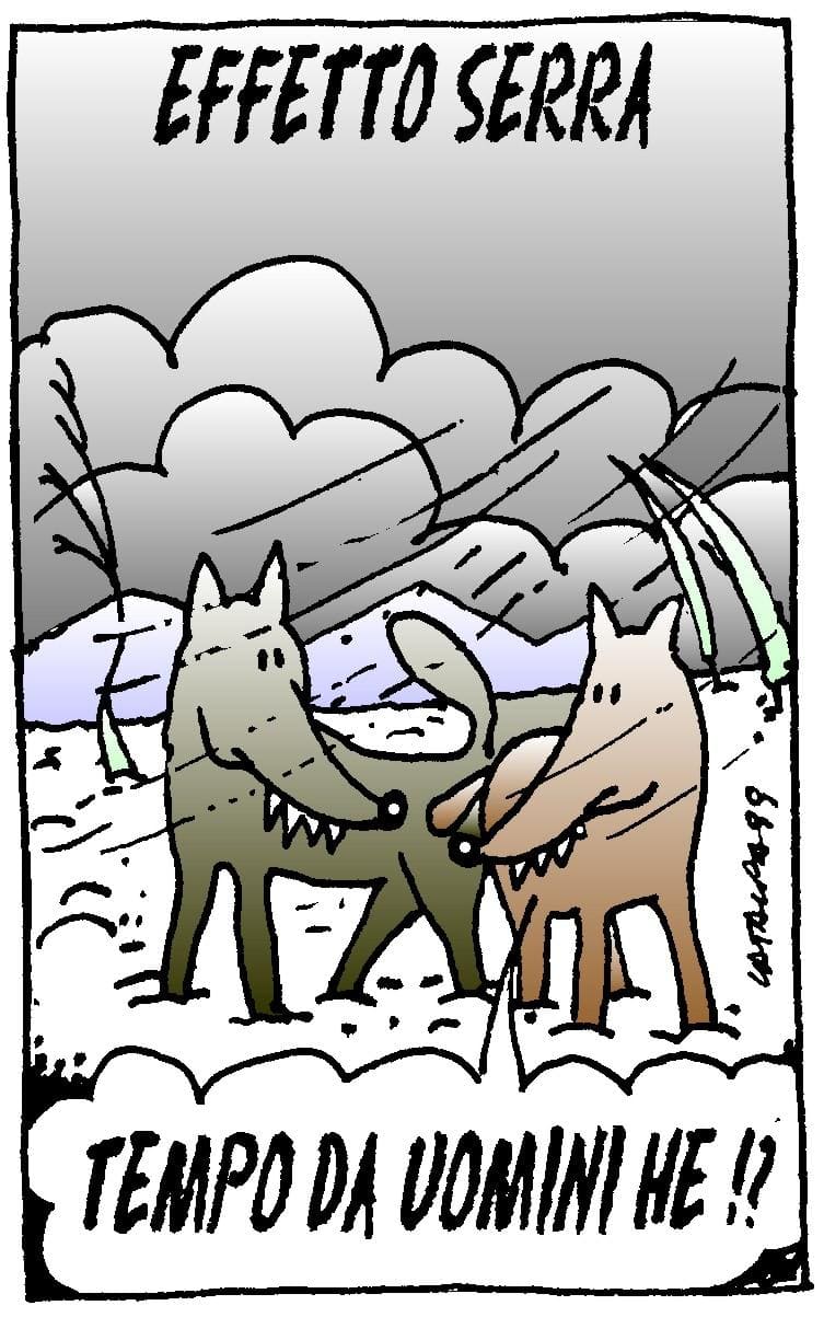 Caricatura e ritratto: le “caritratture” di Marino Bonizzato