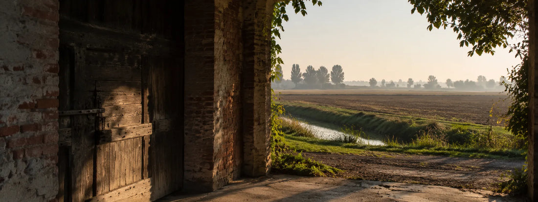 Paesaggio rurale della Bassa reggiana, contesto delle case di latitanza e della Resistenza civile