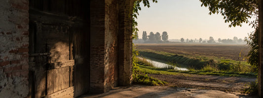 Paesaggio rurale della Bassa reggiana, contesto delle case di latitanza e della Resistenza civile