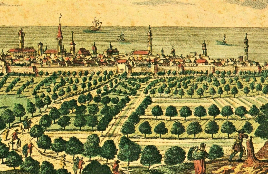 Oreste Delucca presenta Rimini malatestiana alla Cineteca della Biblioteca Gambalunga di Rimini