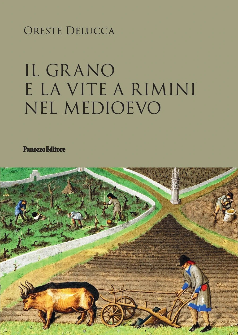Copertina di Il grano e la vite a Rimini nel Medioevo di Oreste Delucca
